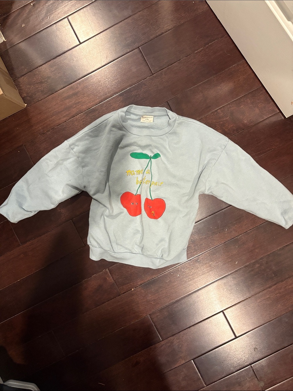 The Campamento Kids Light Blue Cherry Graphic Sweatshirt - Casual Crewneck